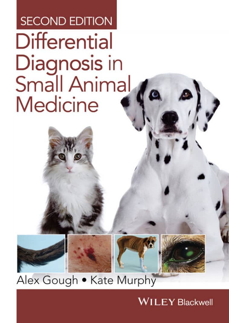 【中古】 Small Animal Medical Differential Diagnosis: A Book of Lists/SAUNDERS W B CO/Mark Thompson Small Animal Medical Differential Diagnosis: A Book of Lists