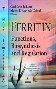 Ferritin Functions Biosynthesis And Regulation