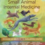 Small Animal Internal Medicine 6th Edition Small Animal Internal Medicine 6th Edition