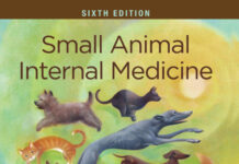 Small Animal Internal Medicine 6th Edition