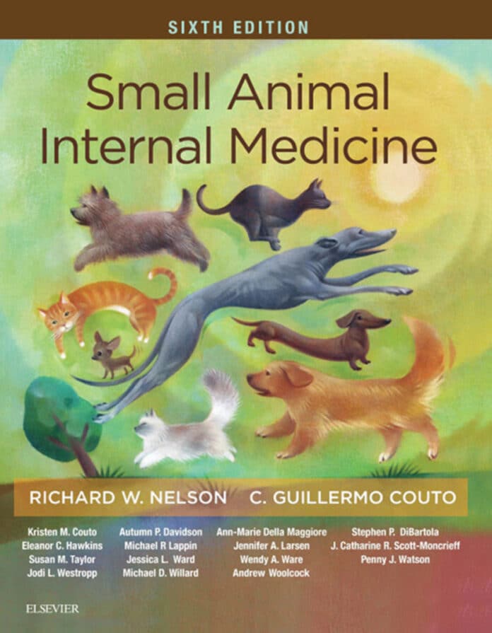Small Animal Internal Medicine 6th Edition