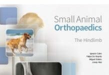 Small Animal Orthopaedics. The Hindlimb PDF Download