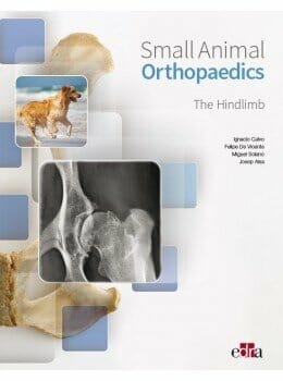 Small Animal Orthopaedics. The Hindlimb PDF Download