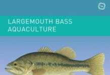 Largemouth Bass Aquaculture PDF
