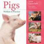 Pigs Welfare in Practice PDF