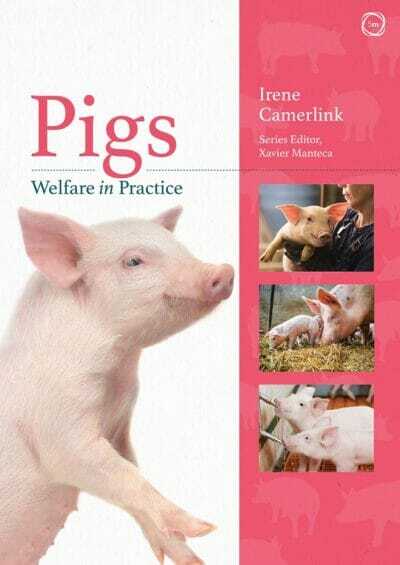 Pigs Welfare In Practice