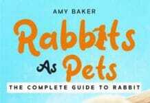 Rabbits As Pets, The Complete Guide To Rabbit Ownership, Housing, Health, Training And Care PDF