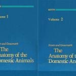 Sisson and Grossman The Anatomy of the Domestic Animals PDF