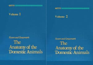 sisson and grossman veterinary anatomy pdf