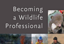 Becoming a Wildlife Professional