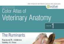 Color Atlas of Veterinary Anatomy The Ruminants 2nd Edition