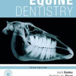 Equine Dentistry 3rd Edition Equine Dentistry 3rd Edition