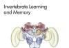 Invertebrate Learning and Memory PDF