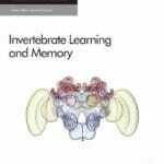 Invertebrate Learning and Memory PDF