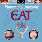 Mammalian Anatomy The Cat 2nd Edition