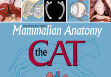 Mammalian Anatomy The Cat 2nd Edition