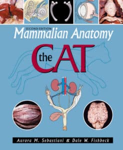 Mammalian Anatomy The Cat 2Nd Edition