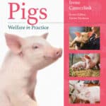 Pigs Welfare in Practice