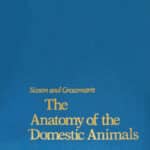 Sisson and Grossman The Anatomy of the Domestic Animals