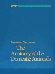 Sisson and Grossman The Anatomy of the Domestic Animals