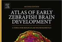 atlas of early zebrafish brain development 2nd edition pdf