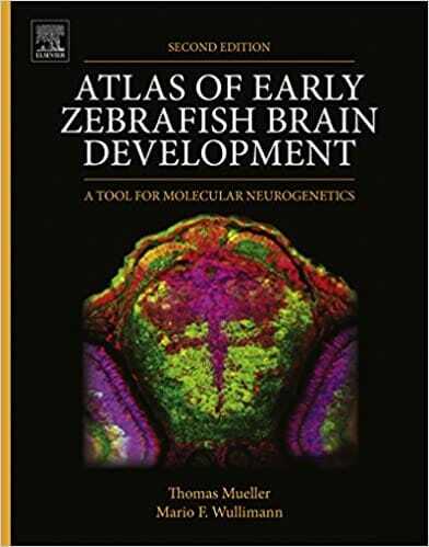 Atlas of Early Zebrafish Brain Development 2nd Edition
