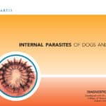 Internal Parasites of Dogs and Cats: Diagnostic Manual