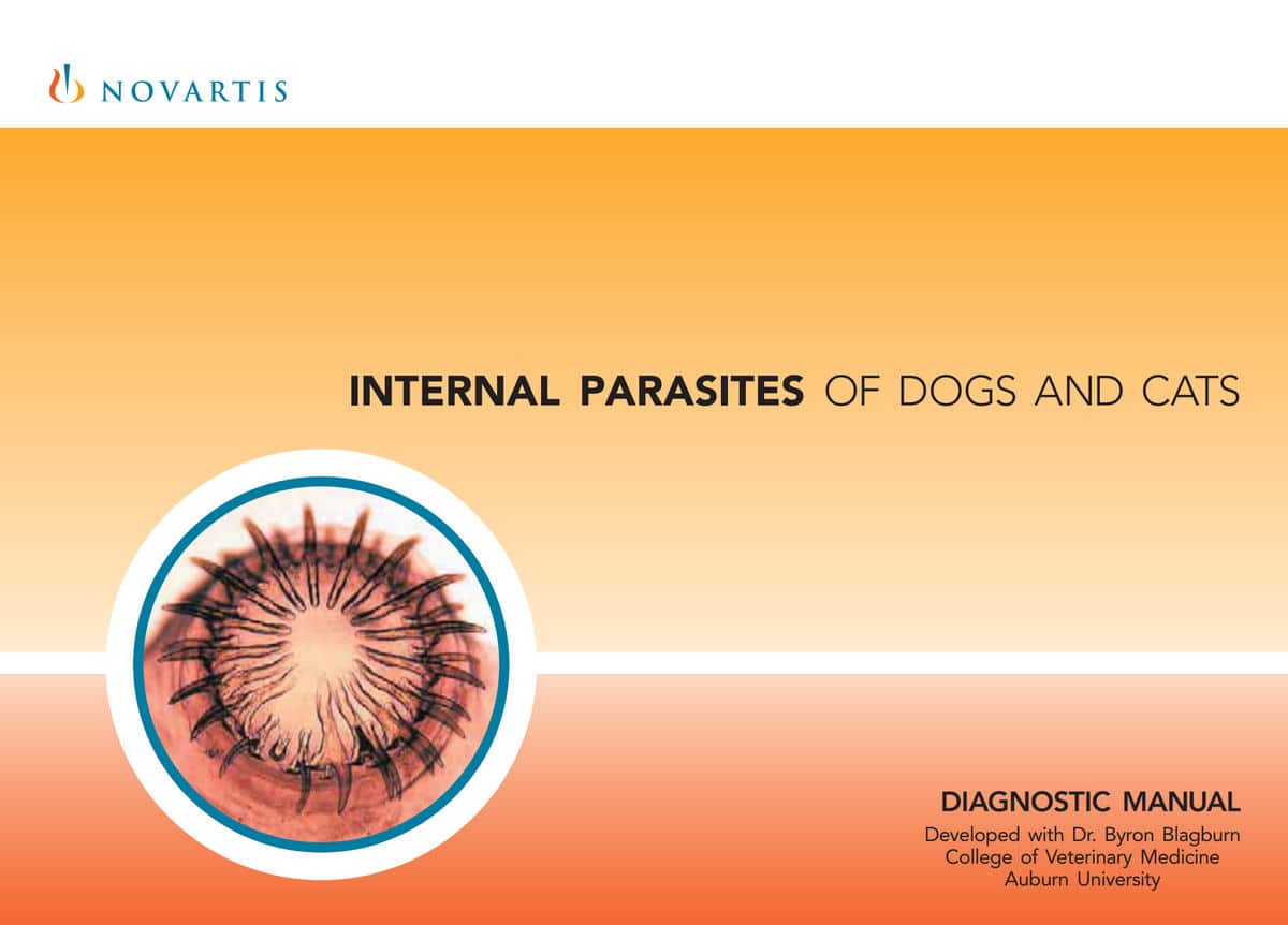 Internal Parasites Of Dogs And Cats: Diagnostic Manual Pdf Download