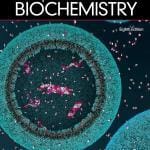 Lehninger principles of biochemistry 8th edition PDF