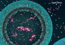 lehninger principles of biochemistry 8th edition pdf