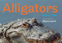 Alligators The Illustrated Guide to Their Biology, Behavior, and Conservation