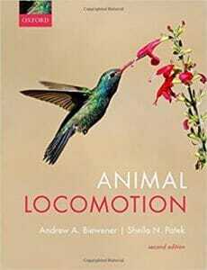 animal-locomotion-sheila-n-patek