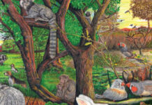 Behavioral Biology of Laboratory Animals Behavioral Biology of Laboratory Animals