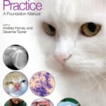 BSAVA Manual of Feline Practice: A Foundation Manual BSAVA Manual of Feline Practice: A Foundation Manual