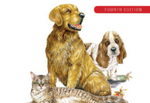 Clinical Medicine of the Dog and Cat 4th Edition