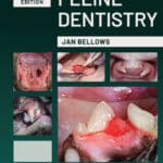 Feline Dentistry 2nd Edition