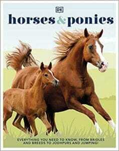 horses–ponies-everything-you-need-to-know-from-bridles-and-breeds-to-jodhpurs-and-jumping