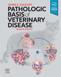 A Textbook of Veterinary Systemic Pathology 2nd Edition PDF