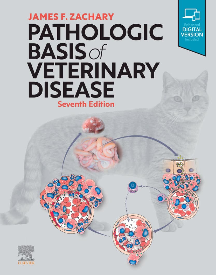 Pathologic Basis Of Veterinary Disease 7Th Edition Pdf Download