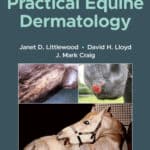 Practical Equine Dermatology 2nd Edition Practical Equine Dermatology 2nd Edition