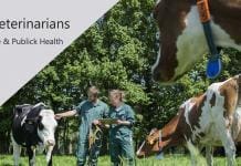 Role of Veterinarian In Our Daily Life and Public Health
