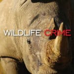 Wildlife Crime: From Theory to Practice