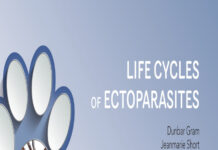 Life Cycles of Ectoparasites in Small Animals