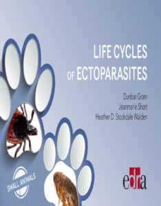 Life Cycles of Ectoparasites in Small Animals Life Cycles of Ectoparasites in Small Animals