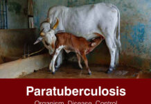Paratuberculosis: Organism, Disease, Control 2nd Edition