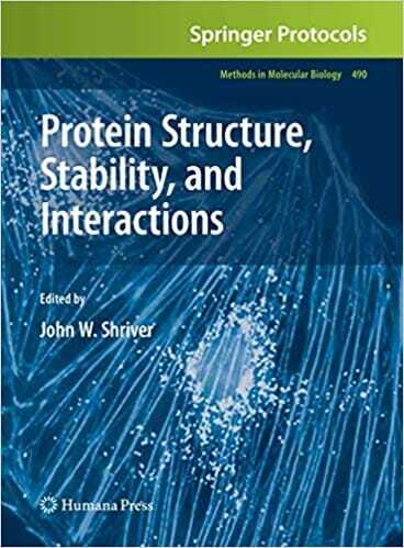 Protein Structure, Stability, and Interactions