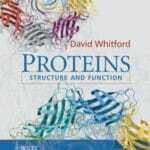 Proteins Structure and Function - David Whitford