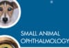 Small Animal Ophthalmology What’s Your Diagnosis?