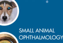 Small Animal Ophthalmology What’s Your Diagnosis? Small Animal Ophthalmology What’s Your Diagnosis?
