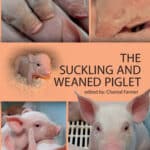 The Suckling and Weaned Piglet